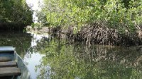 /album/photogallery/bintang-bolong-jpg1/